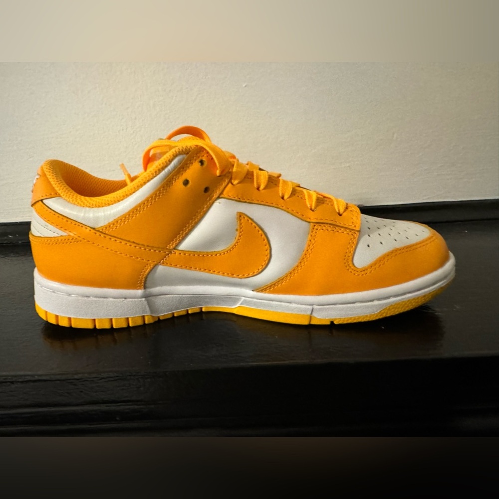 Brand new Nike dunks
